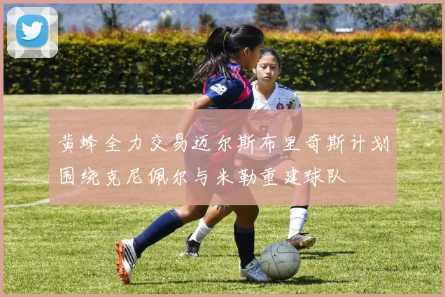 黄蜂全力交易迈尔斯布里奇斯计划围绕克尼佩尔与米勒重建球队